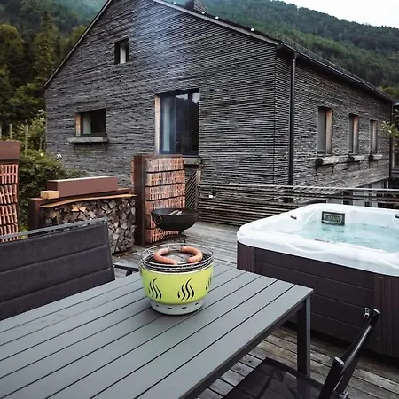 Birken 람자우 암 다흐스타인