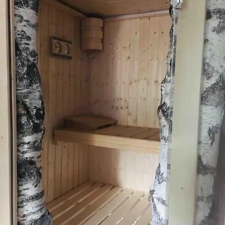 Birken 아파트 람자우 암 다흐스타인