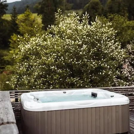 Birken Ramsau am Dachstein