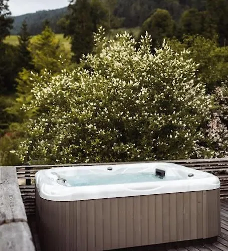 Birken 람자우 암 다흐스타인